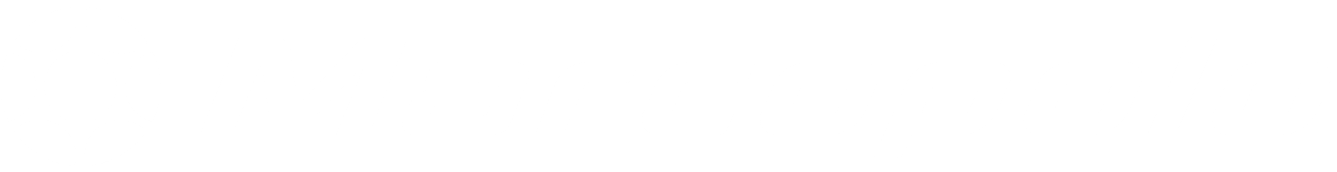 Grupo Ferrarin