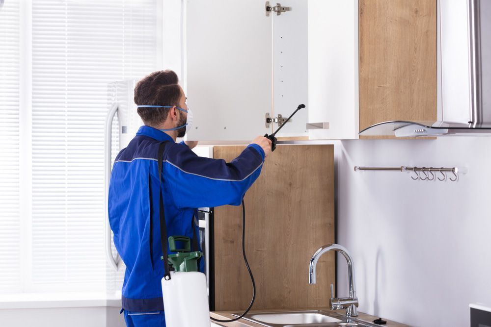 A Man is Spraying a Cabinet With a Sprayer in a Kitchen — Ray's Termite Protection & Pest Control in Pelican Waters, QLD