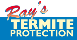 Ray’s Termite Protection & Pest Control is Your Termite Control Service in the Sunshine Coast Ray’s Termite Protection & Pest Control is Your Termite Control Service in the Sunshine Coast