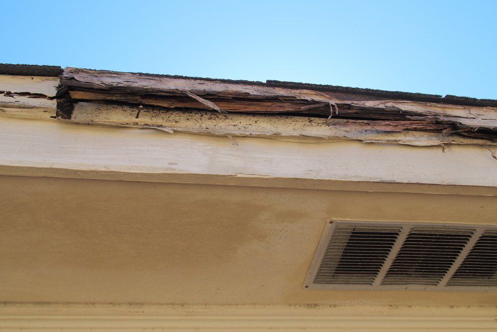 A Roof With a Hole in It and a Vent on It — Ray's Termite Protection & Pest Control in Maroochydore, QLD