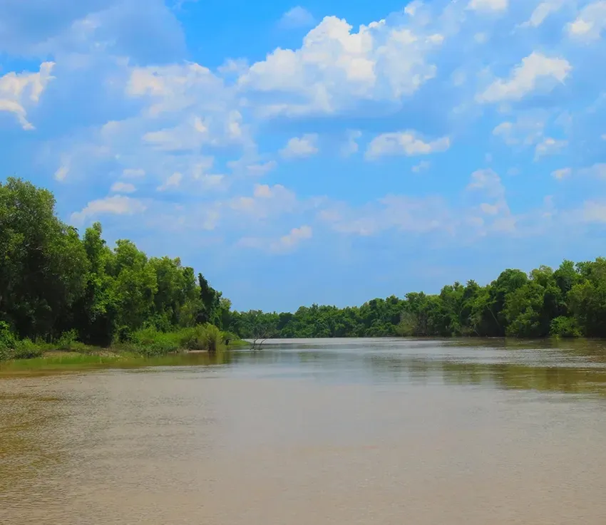 A Wide River Flowing Through Thick Bushland— Nightcliff Plumbing & Gas In Adelaide River, NT