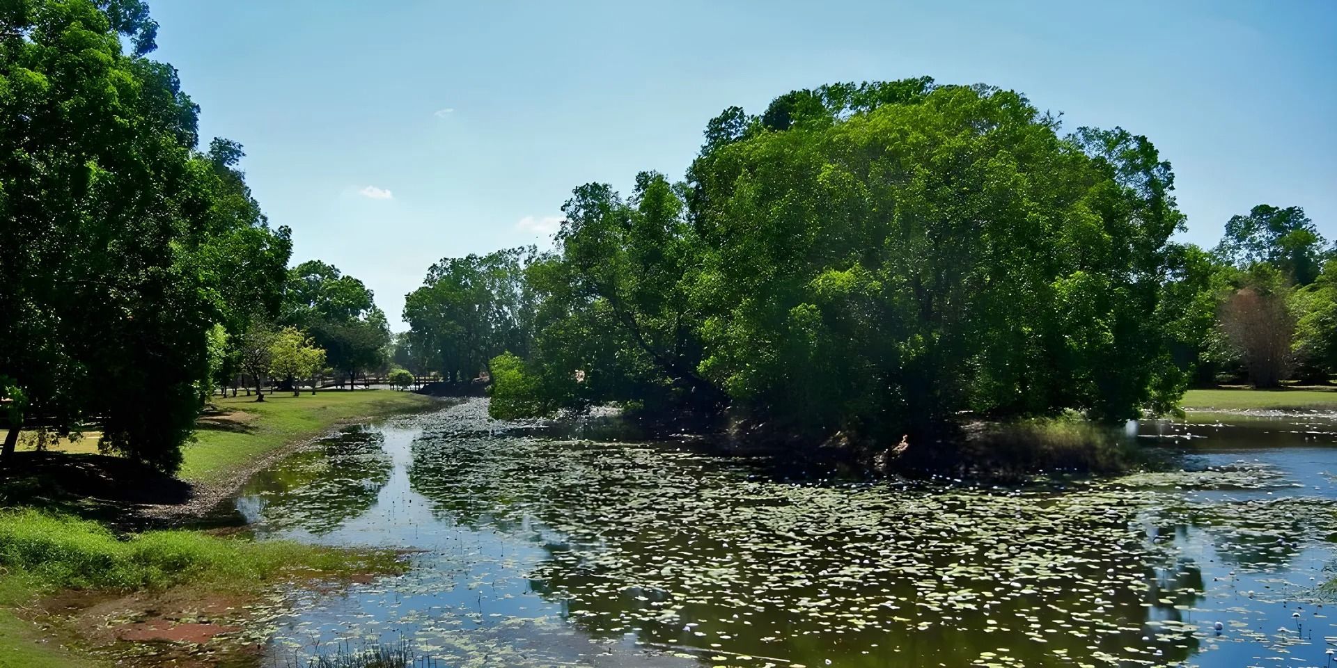 A Lake Surrounded by Trees on a Sunny Day — Nightcliff Plumbing & Gas In Palmerston, NT