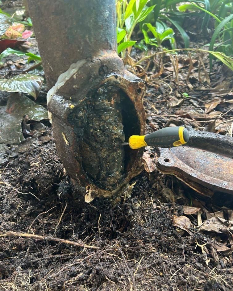 A Person is Using a Screwdriver to Remove a Hole in a Tree Trunk — Nightcliff Plumbing & Gas In Coconut Grove, NT