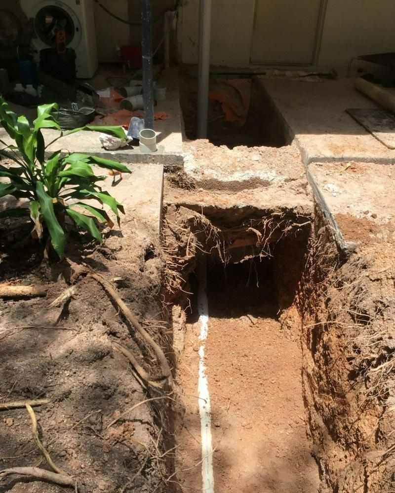 A Hole in the Ground With a Plant Growing Out of It — Nightcliff Plumbing & Gas In Coconut Grove, NT