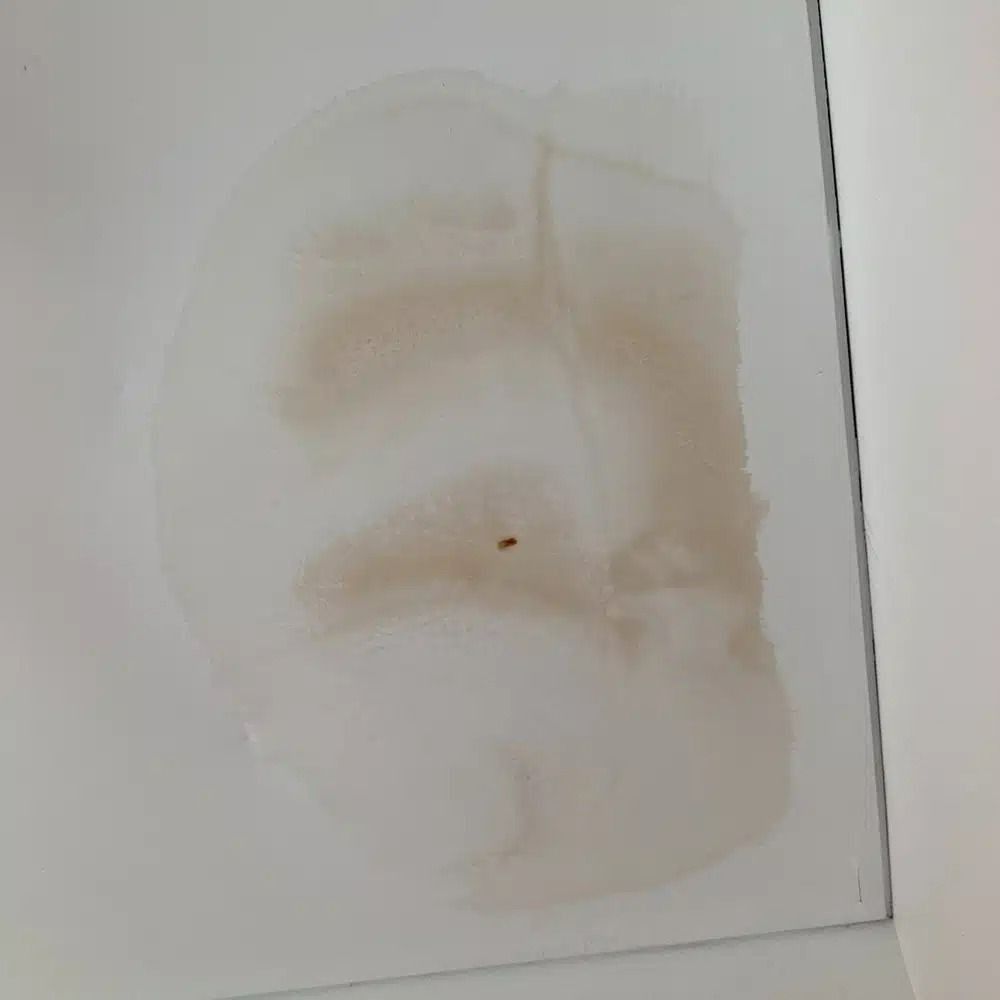 A White Wall With a Brown Stain on It — Nightcliff Plumbing & Gas In Coconut Grove, NT