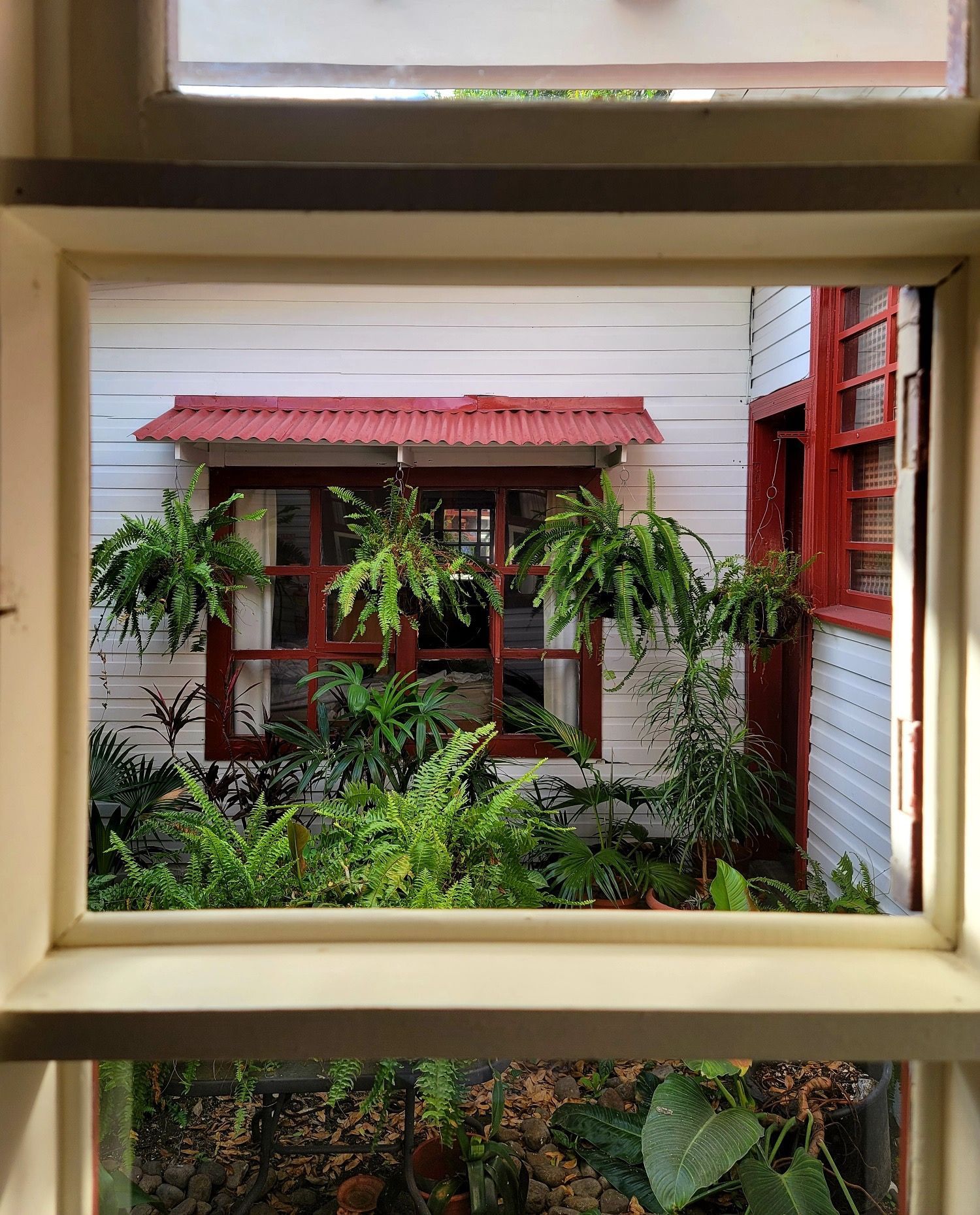 View through a window onto a lush courtyard with red-roofed house and green plants