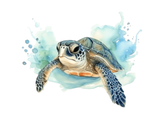 Watercolor sea turtle swimming on a white background with blue-green splashes