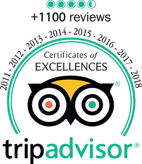 Tripadvisor Certificate of Excellence badge with owl logo, “+1100 reviews,” and years 2011–2018 around it