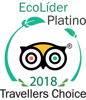 Tripadvisor EcoLíder Platino 2018 Travellers Choice award logo with owl icon