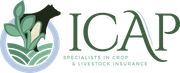 Crop and Livestock Insurance Experts