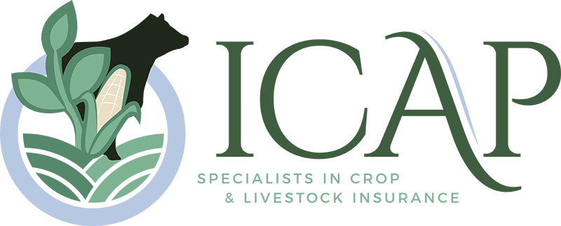 Crop and Livestock Insurance Experts