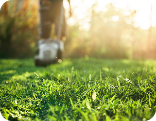Close-up of vibrant green grass with a lawnmower in the background, sun shining brightly.