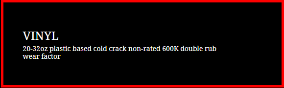Black banner with a red border and white text reading “VINYL.”