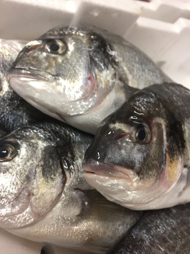 ristorante di pesce