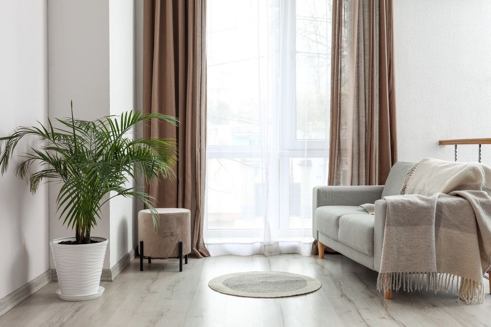 A Living Room With a Couch, Potted Plant, and Curtains — TT Shutters & Shading In Pottsville, NSW