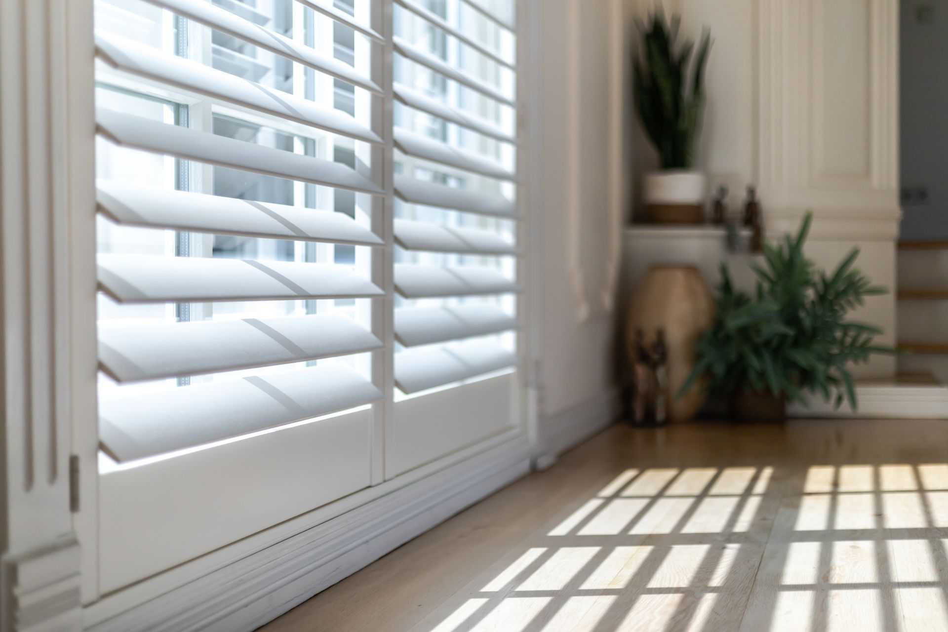 A Dog is Sitting in a Living Room Next to a Window With White Shutters — TT Shutters & Shading In Ballina, NSW