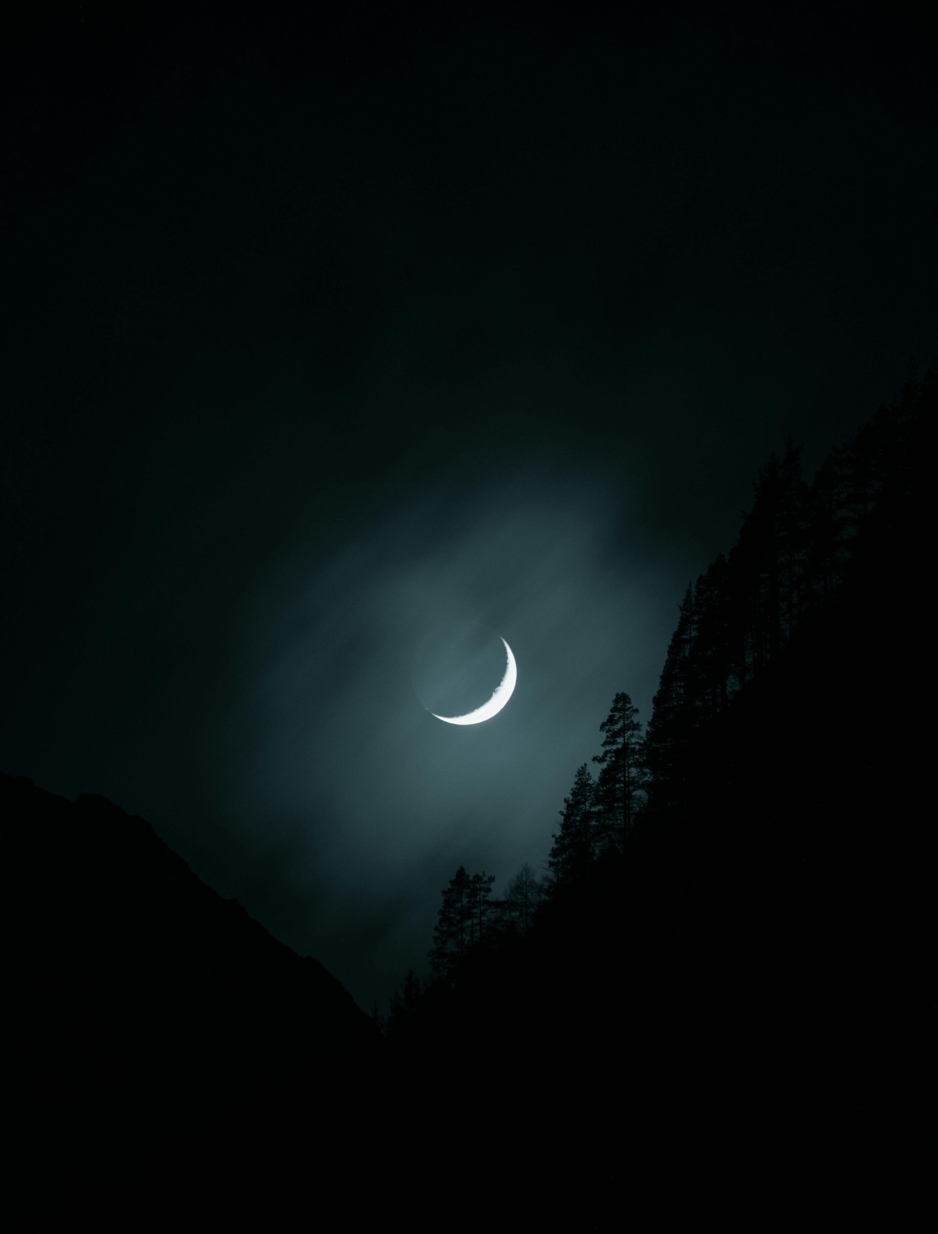 A crescent moon glows against a dark, cloudy night sky, silhouetted above the dark outlines of mountain treetops.