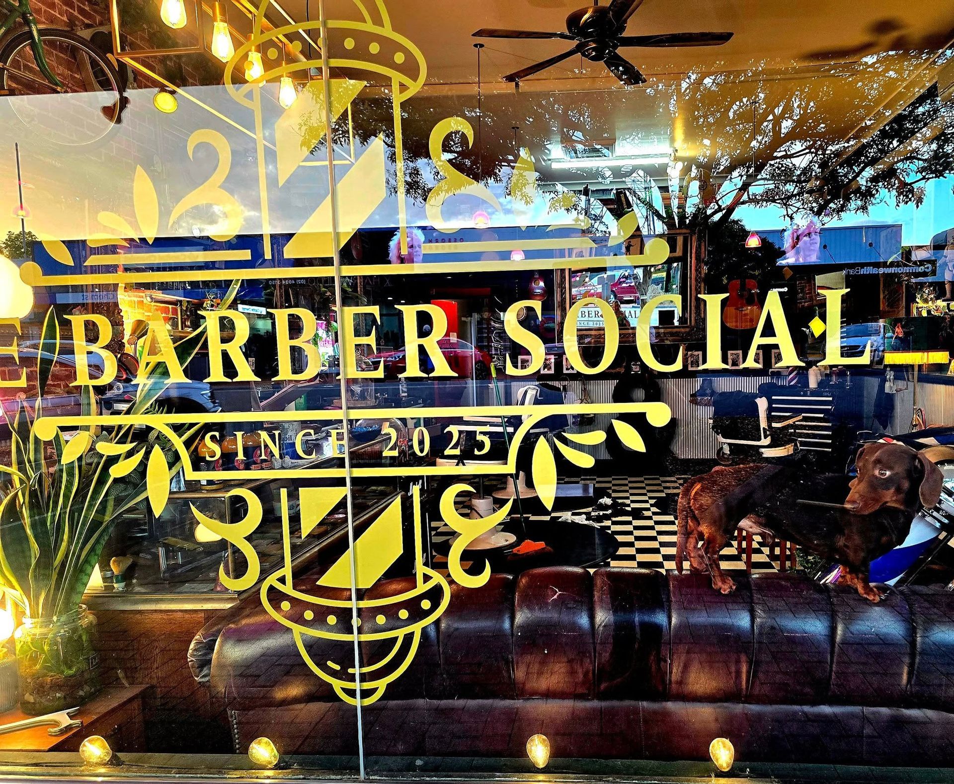 The Window of The Barber Social Shop Features Yellow Decals — The Barber Social In Raymond Terrace, NSW