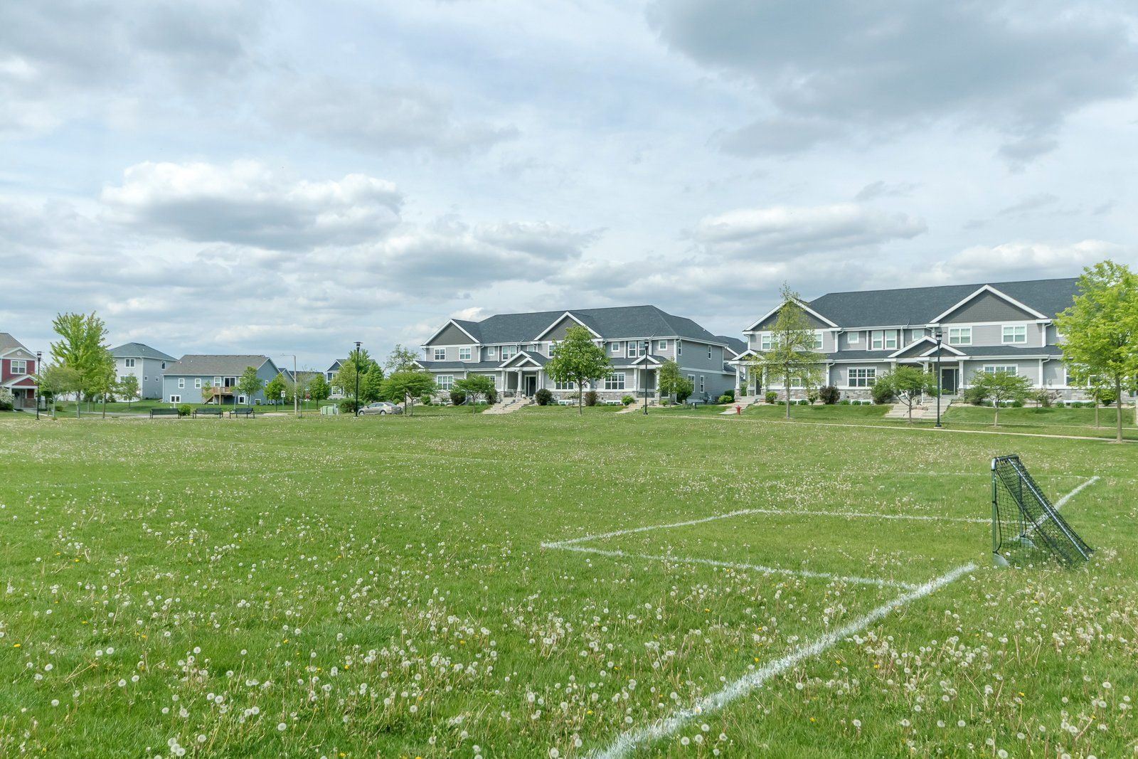 field
