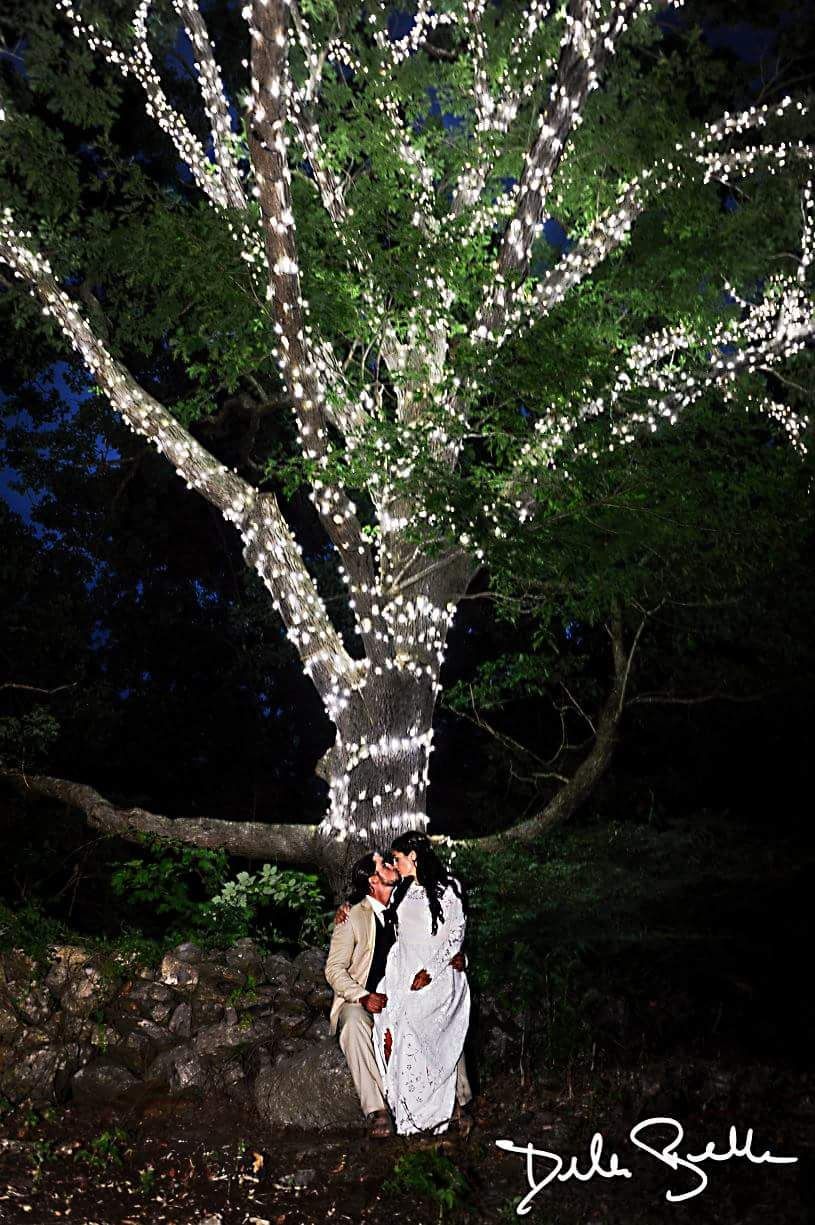 Vineyard Weddings 4
