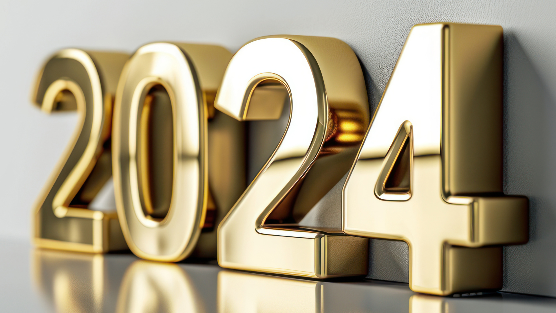 Commercial Insurance Profile January 2024