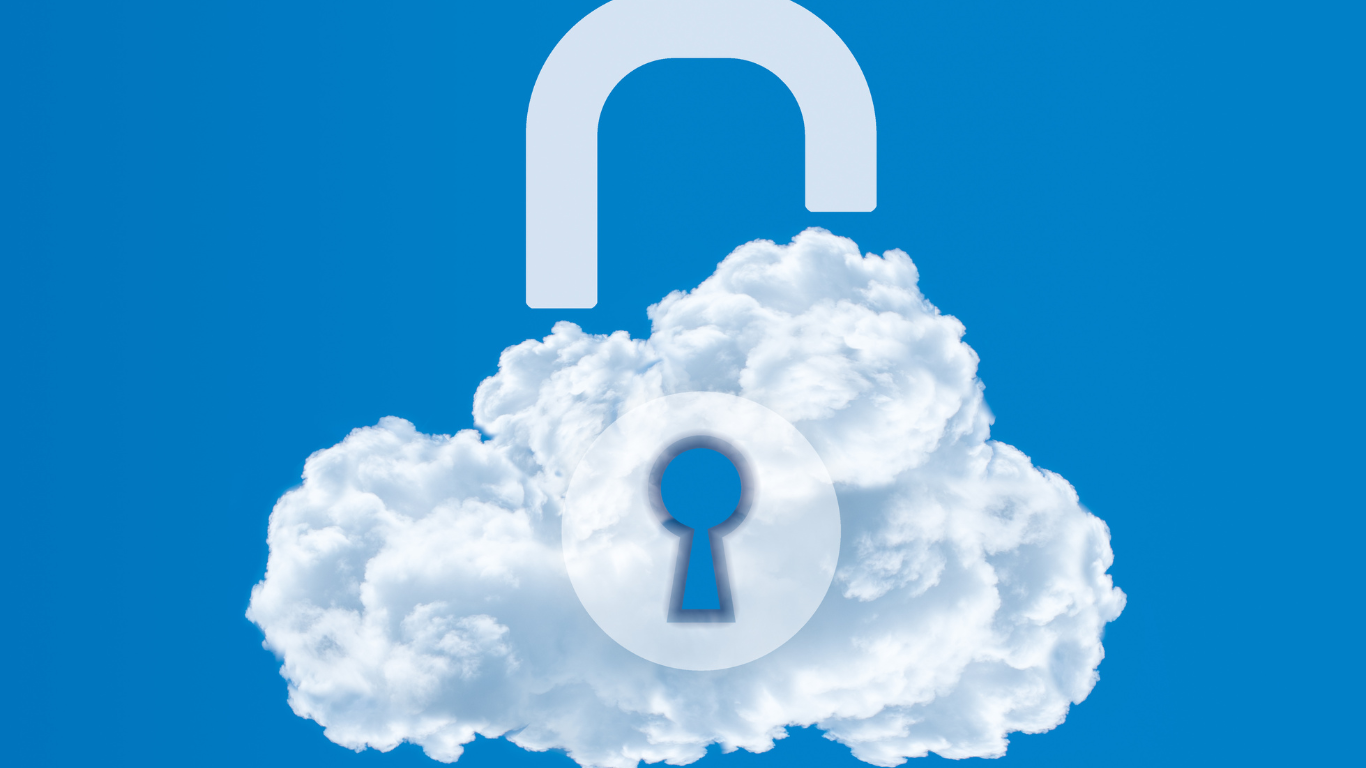 Cyber Risks & Liabilities: January / February 2025