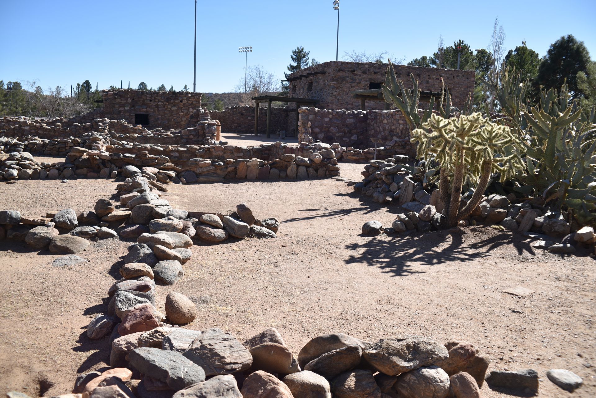 Rocky desert garden with stone borders, sandy paths, and sparse shrubs under a clear blue sky