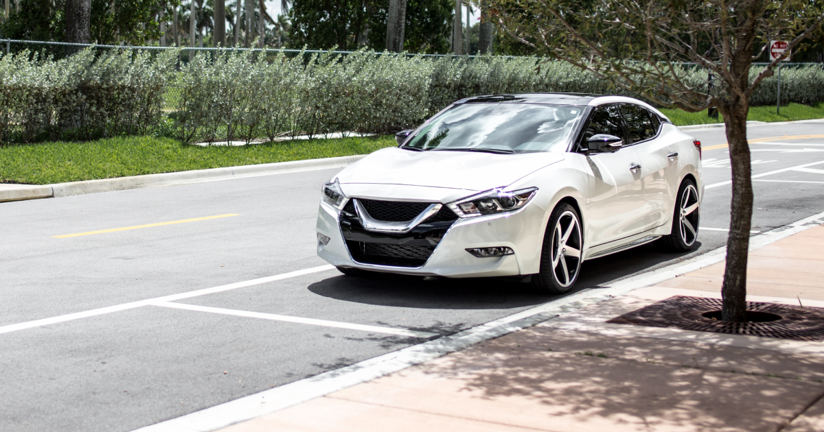 White Nissan Maxima parked along a street with a tree on the right side.