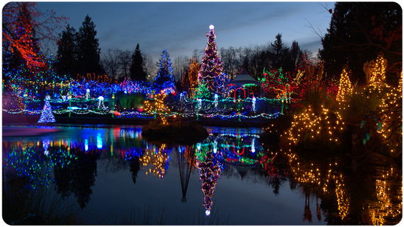 Park Christmas Lights — Nottingham, PA — Howell’s Lawn & Landscape LLC Park Christmas Lights — Nottingham, PA — Howell’s Lawn & Landscape LLC