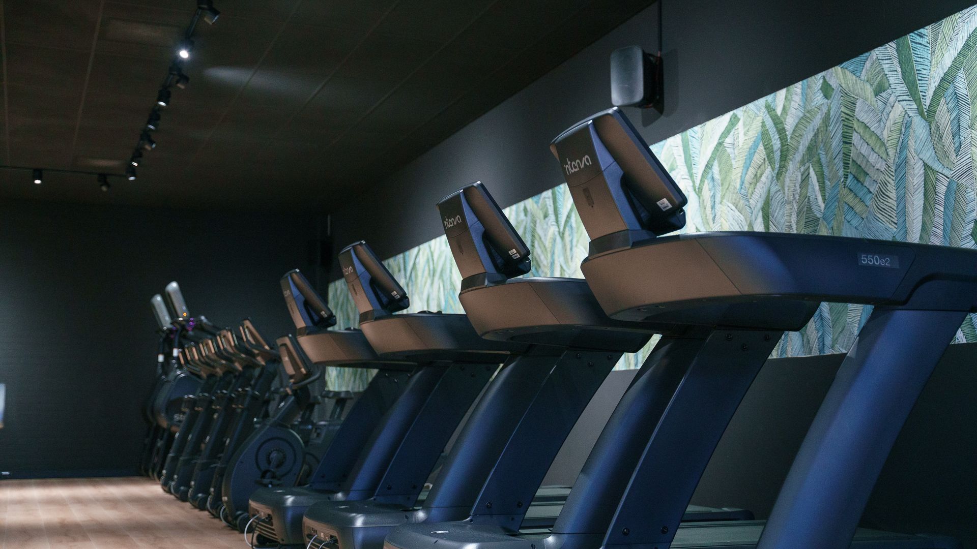 Row of treadmills in a dark, modern gym with blue-lit consoles and windowed wall view
