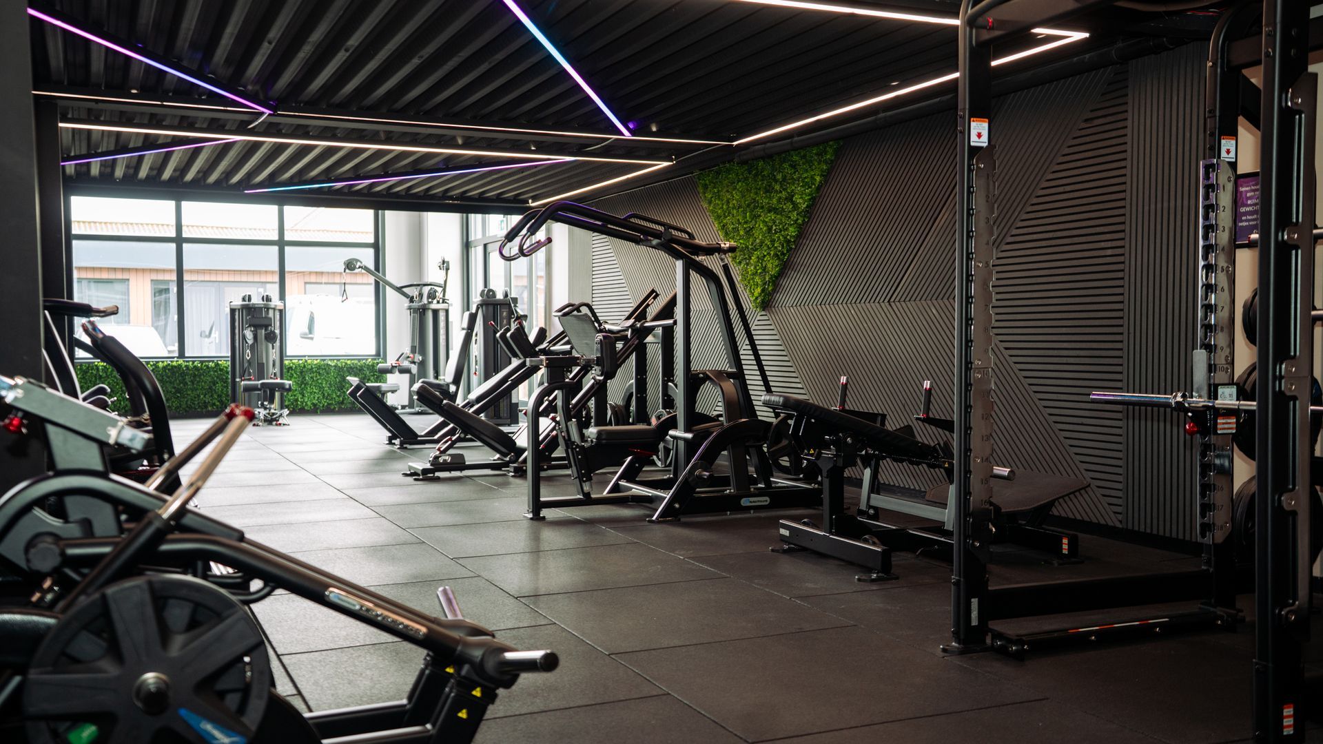 Modern gym interior with weight machines, treadmills, and black equipment under LED strip lighting