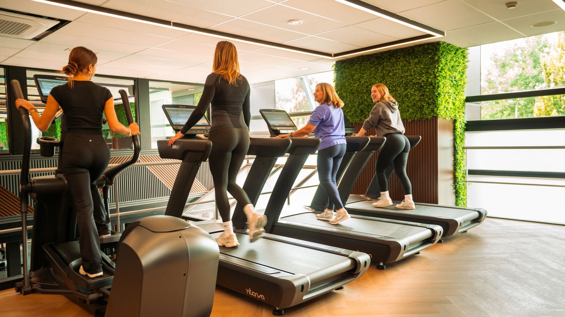 People walking on treadmills in a bright gym studio with large windows and indoor plants