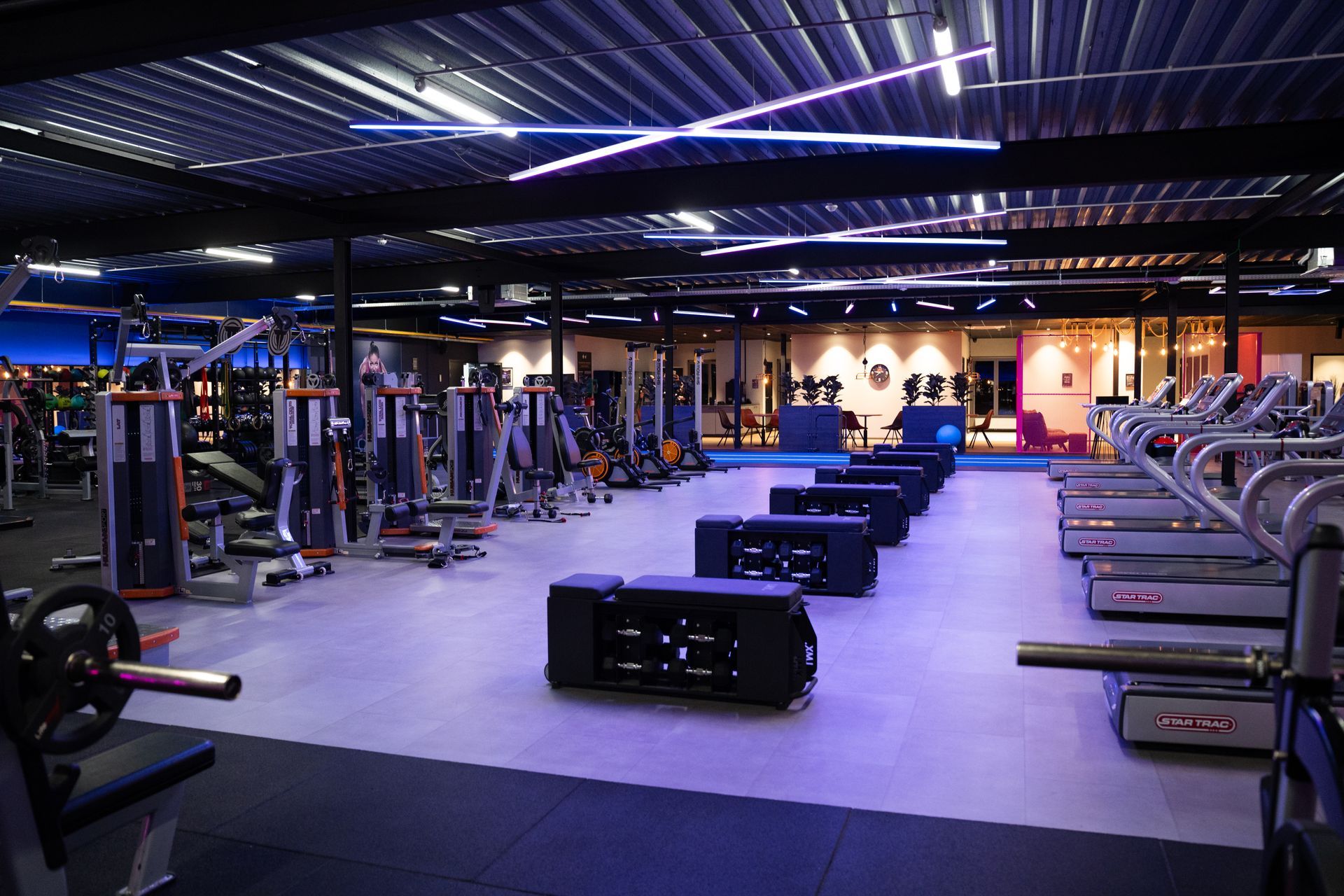 Modern gym interior with exercise machines and benches under blue-purple lighting