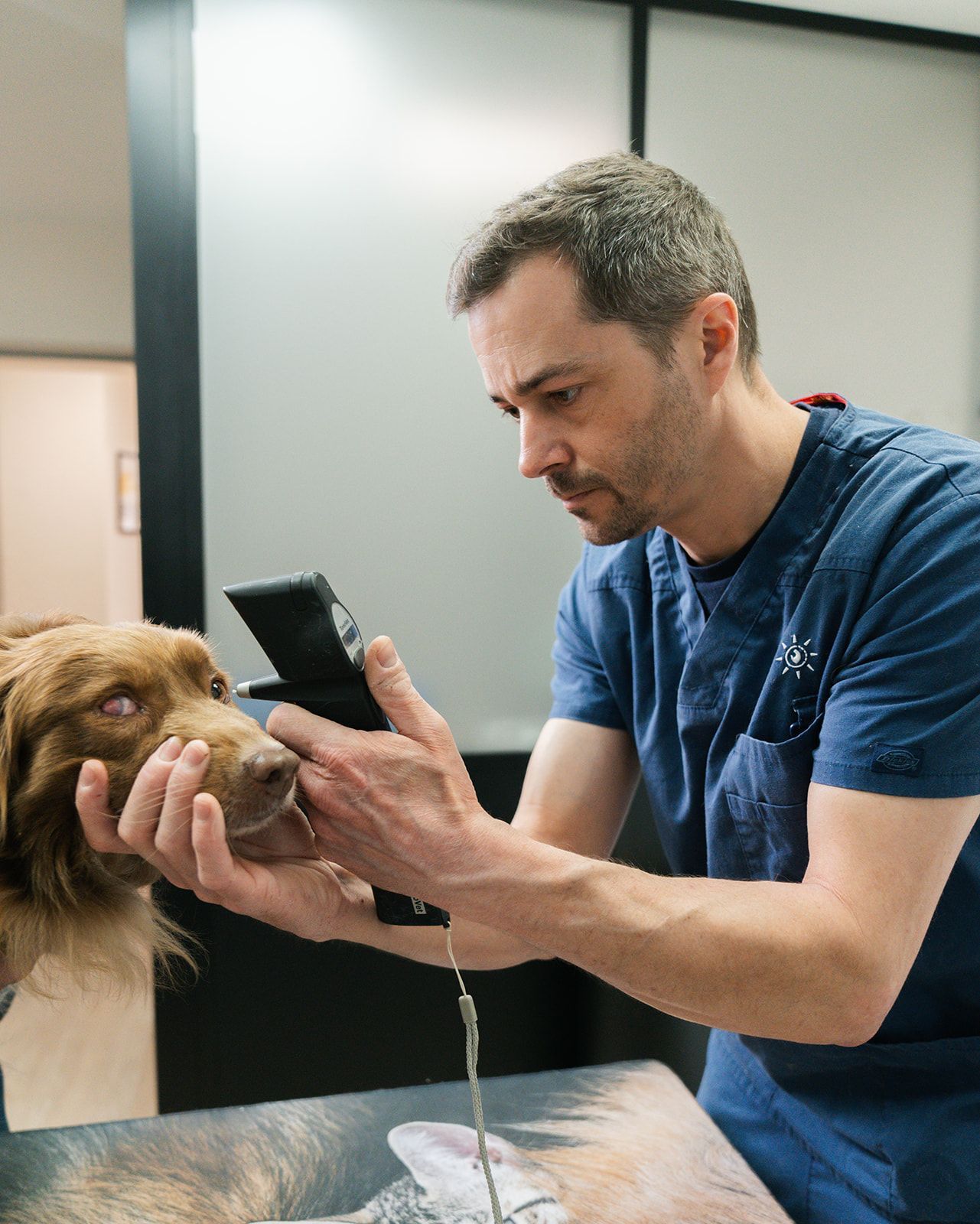 Chien oeil rouge examen 
