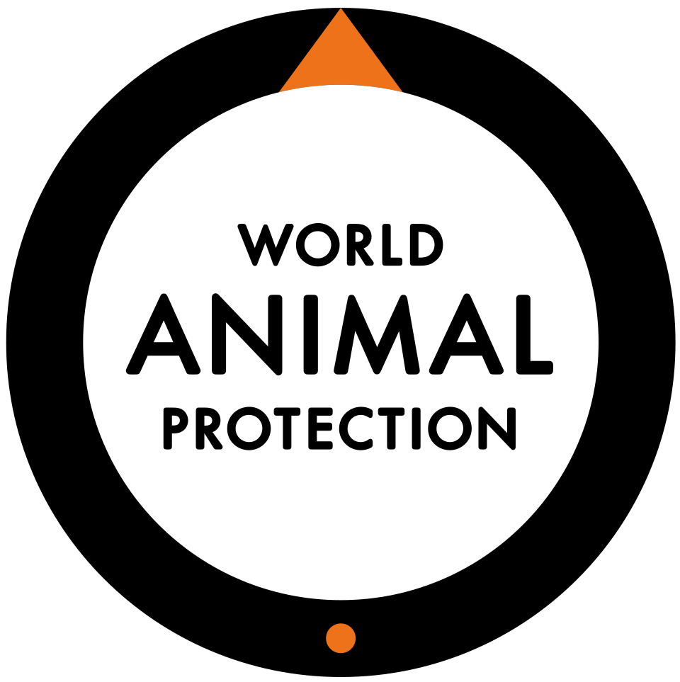 Logo 13