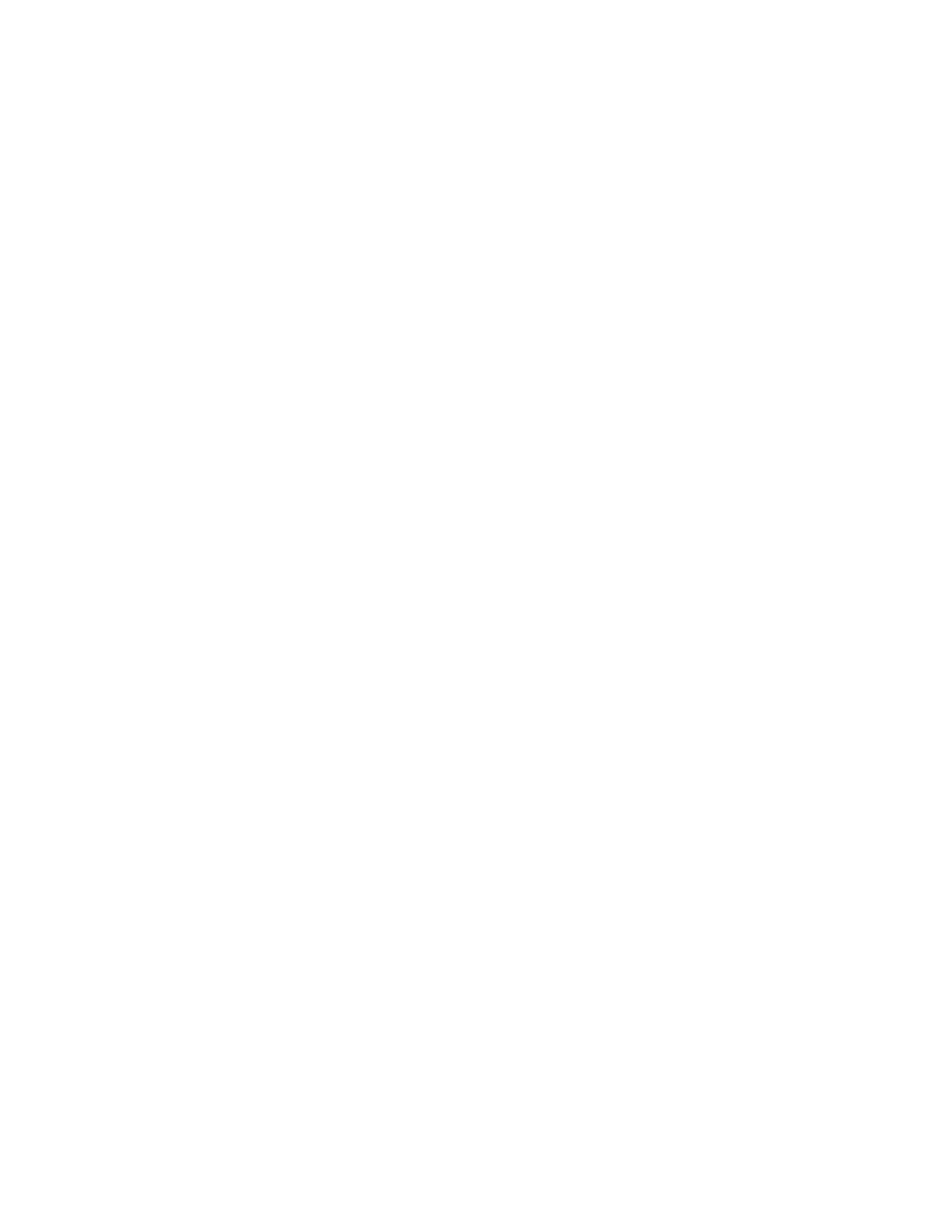 The Bennett Austin Property Logo in white color.