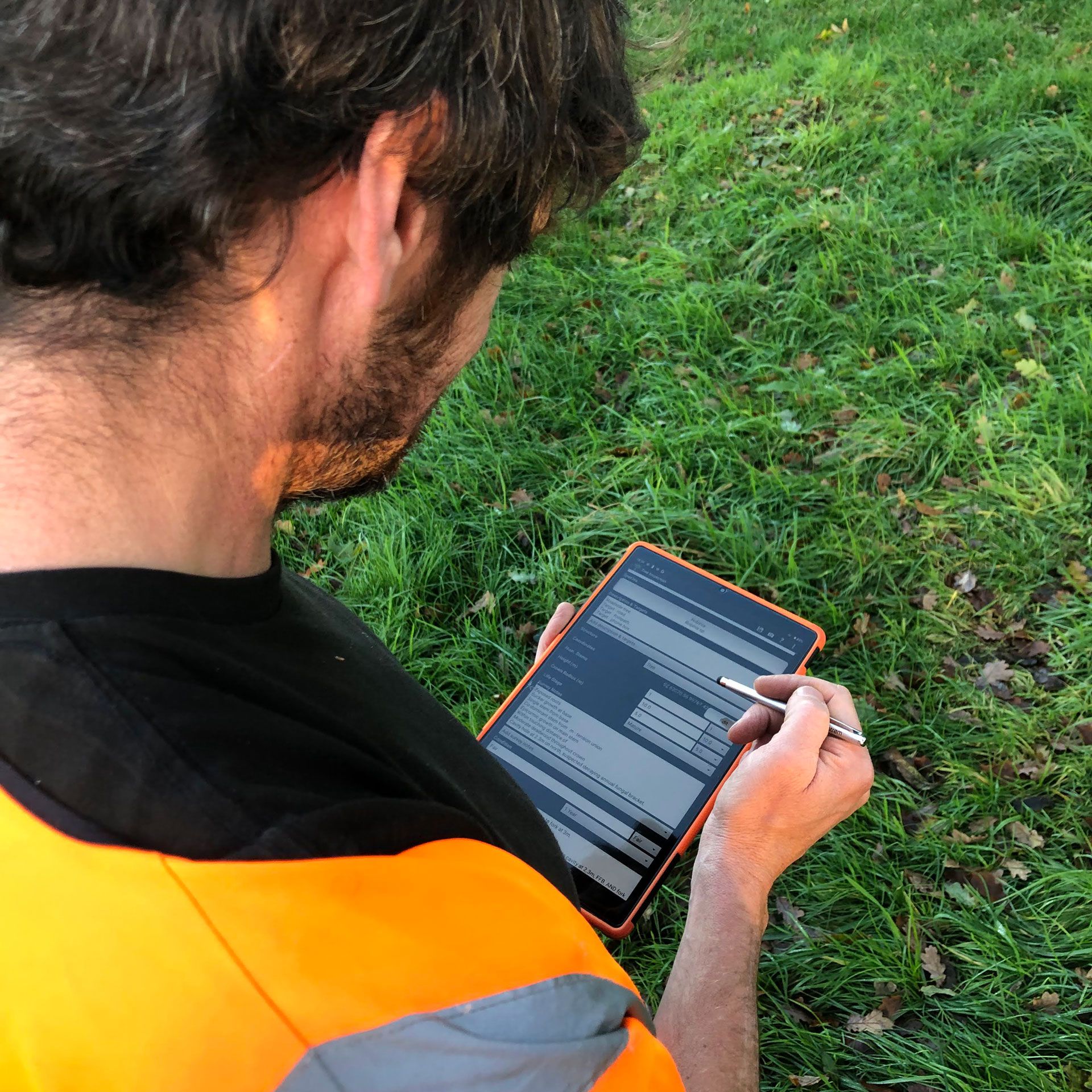 collecting data of a tree for the landowners tree safety insurance