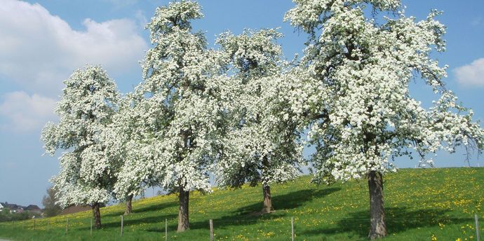 Aussicht Tagesfahrt