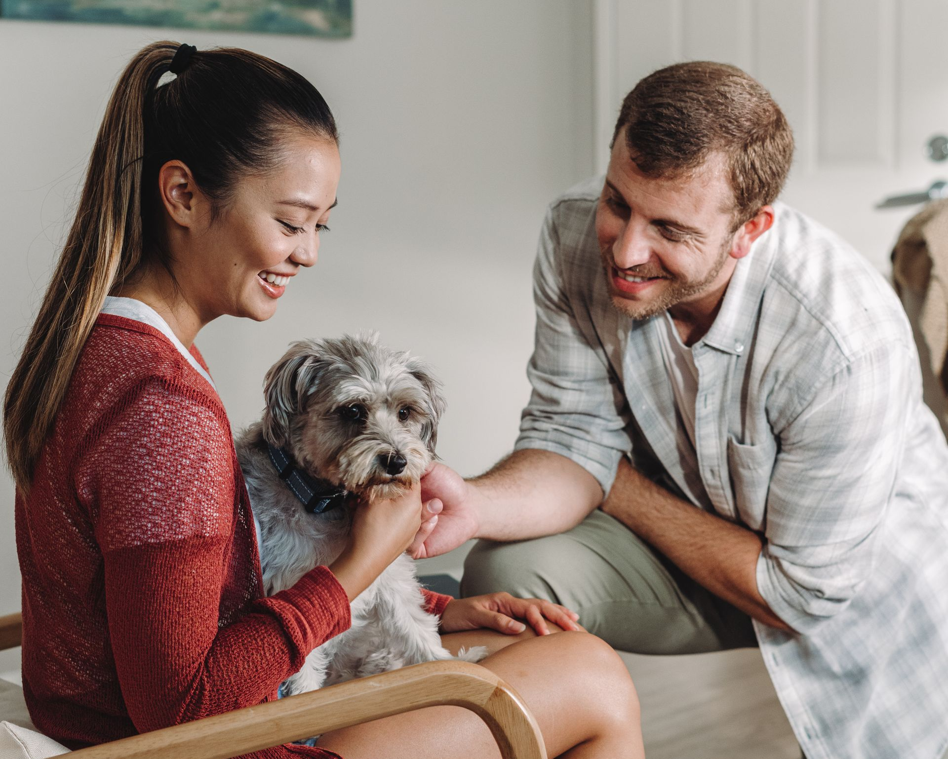 Introduced PAWS program and removed pet weight limits.