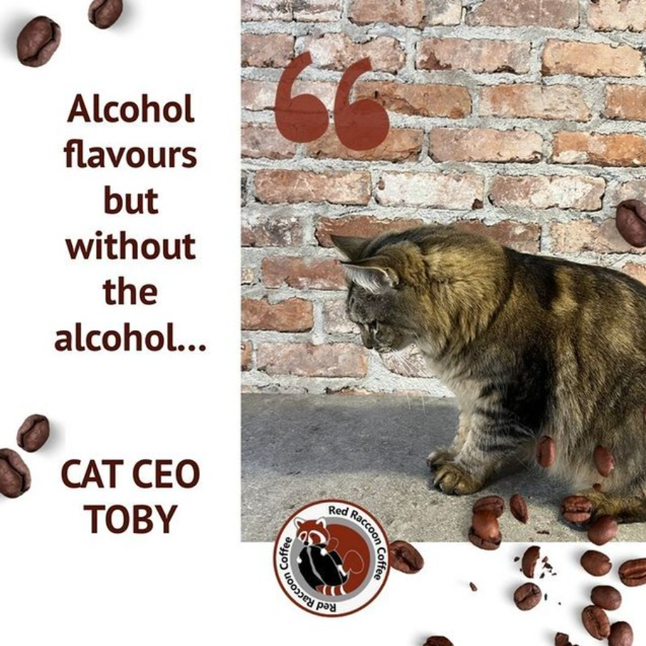 Cat beside text reading “Alcohol flavours but without the alcohol... CAT CEO TOBY” over a brick wall background.