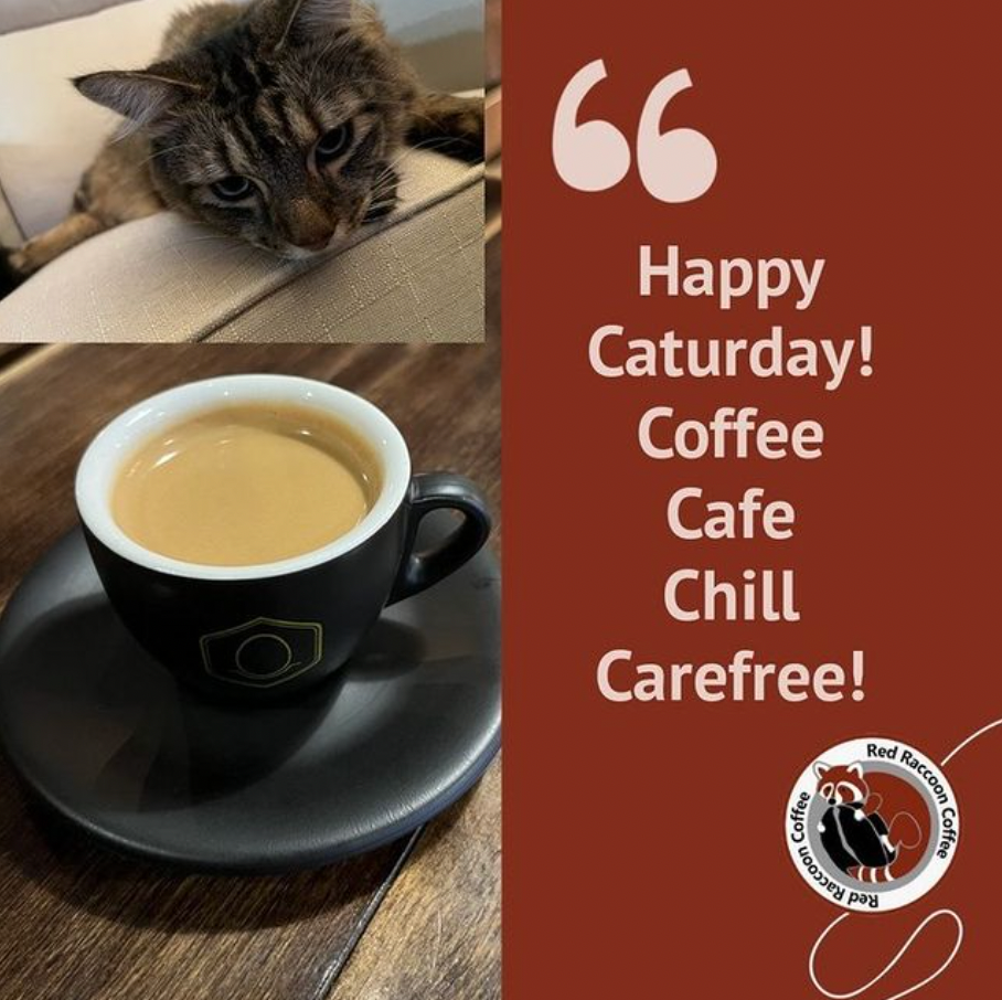 Cat beside a cup of coffee with “Happy Caturday! Coffee Cafe Chill Carefree!” text on a brown background