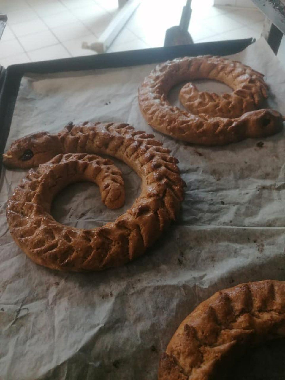 Panini a forma di serpente