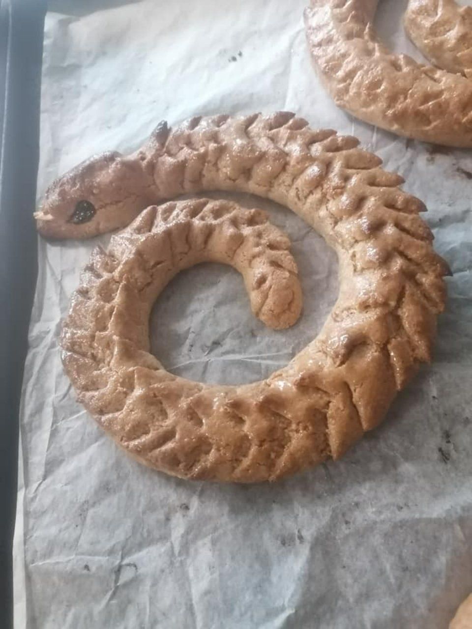 Panino a forma di serpente