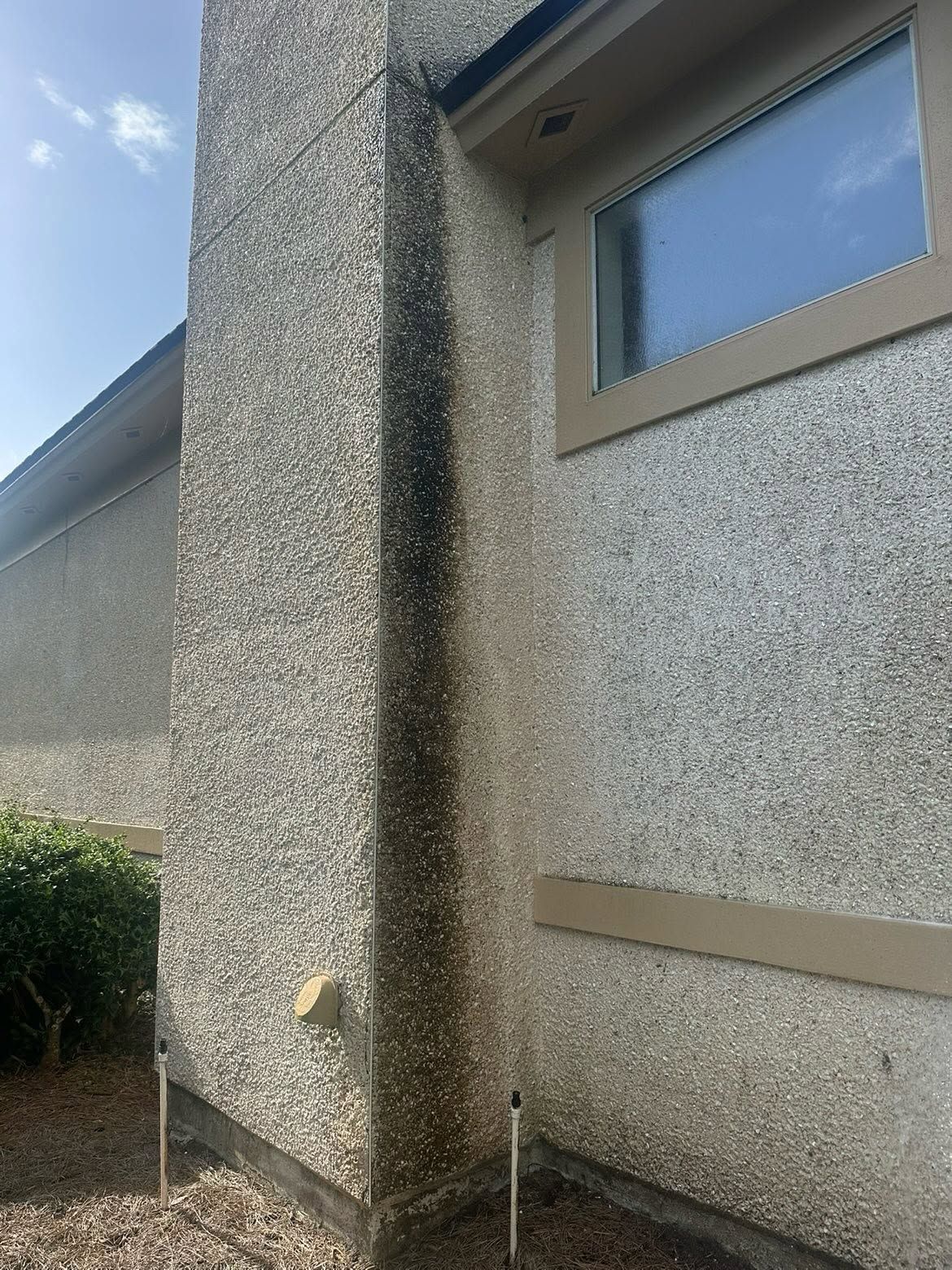 Exterior corner of a pebble-stucco house with a window and small shrub beside the wall