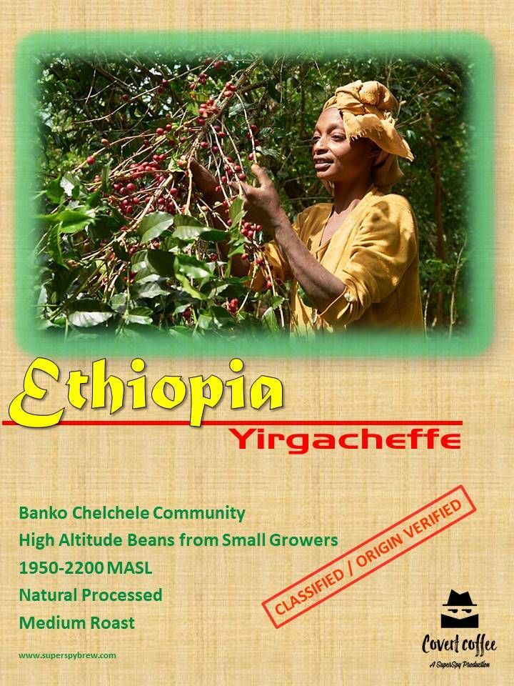 Ethiopian Yirgacheffe Washed Gr. 3 – Banko Chelchele