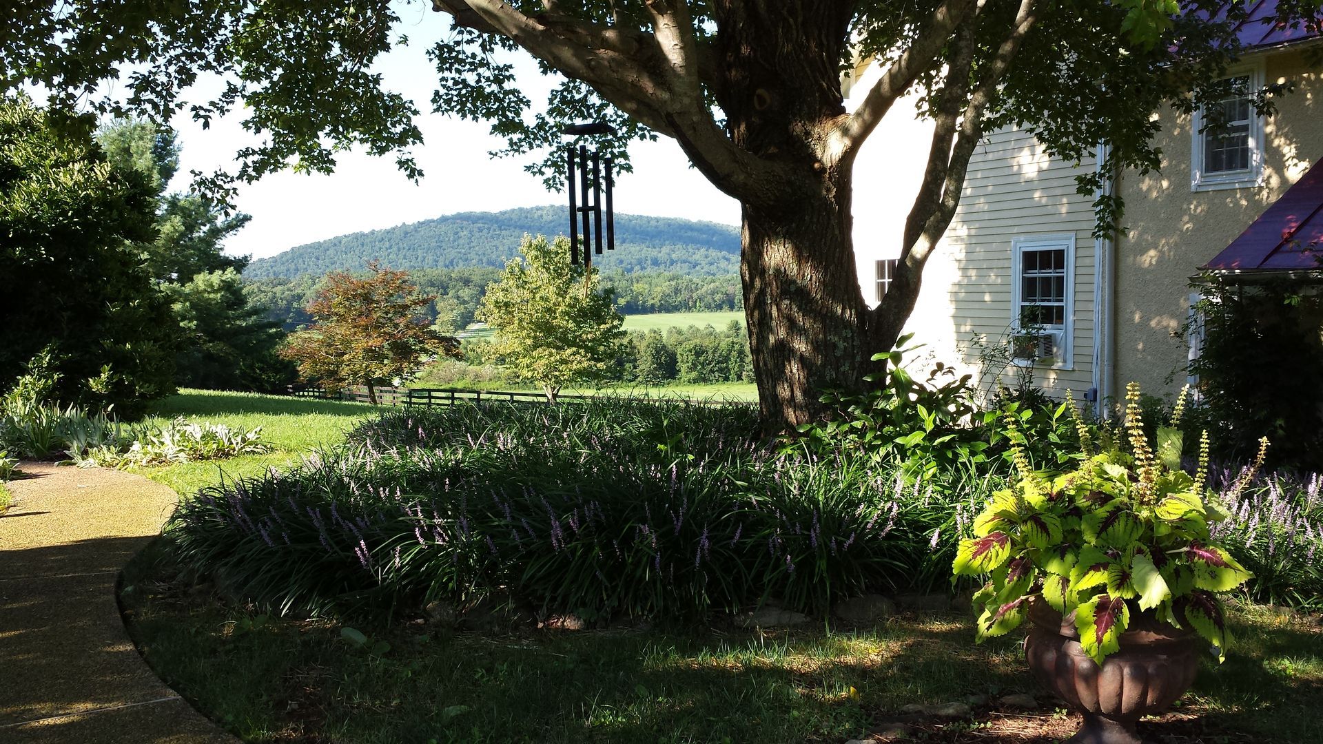 A wind chime hangs from a tree in front of a house