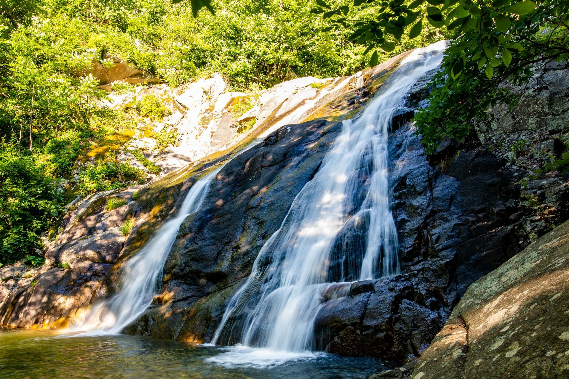 A waterfall is surrounded by trees and rocks in the middle of a forest.
