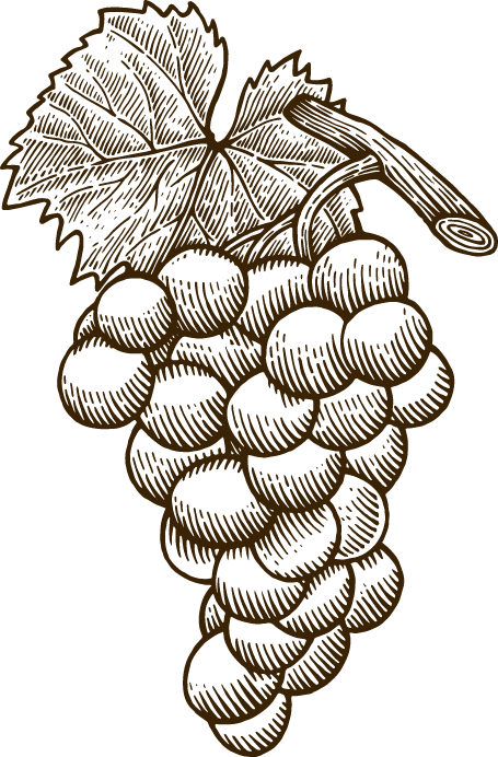 A black and white drawing of a bunch of grapes with leaves.
