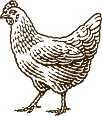 A black and white drawing of a chicken on a white background.