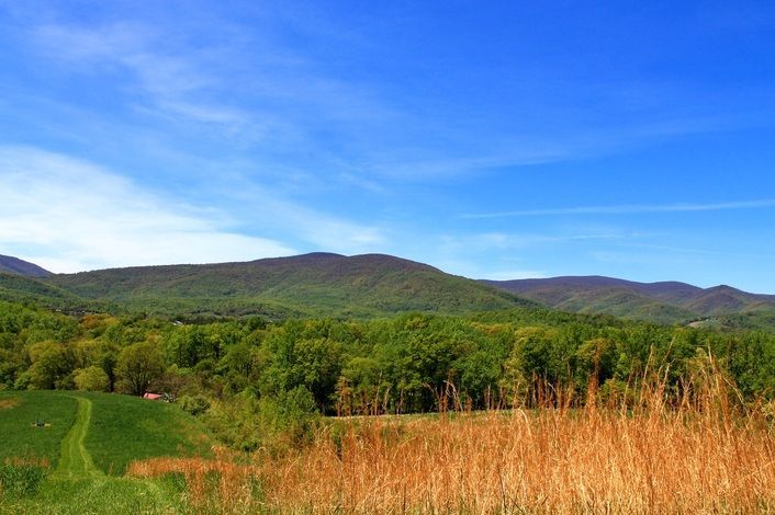 There is a path going through a field with mountains in the background.